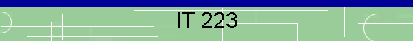 IT 223
