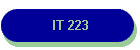 IT 223
