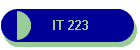 IT 223